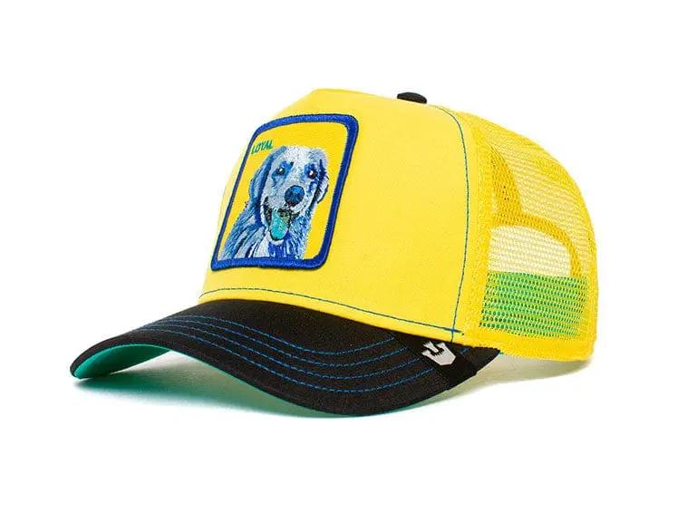 Jockey Goorin Bros Doggy Trip Unisex Amarillo